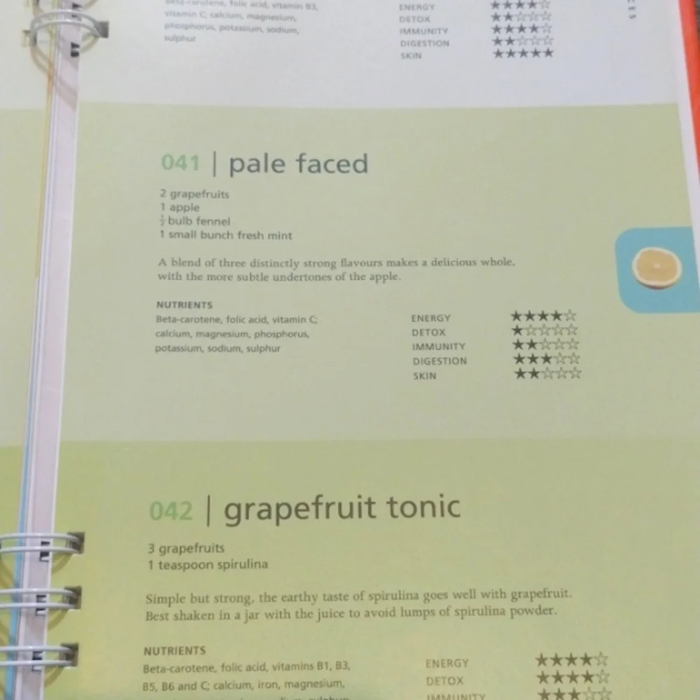 The Big Book Of Juices And Smoothies